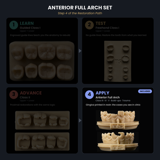Anterior Practice Bundle