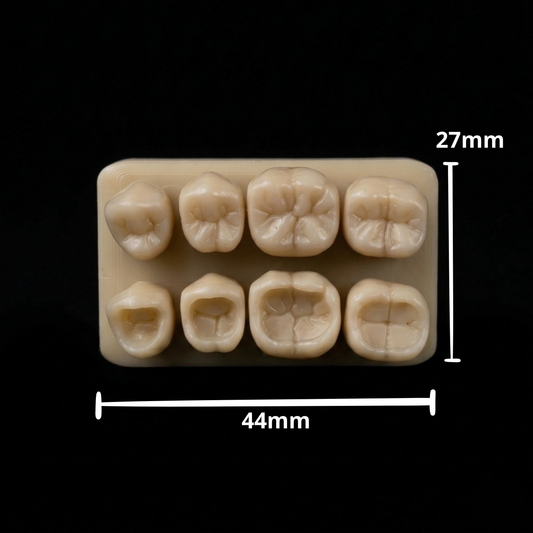 Posterior Bundle